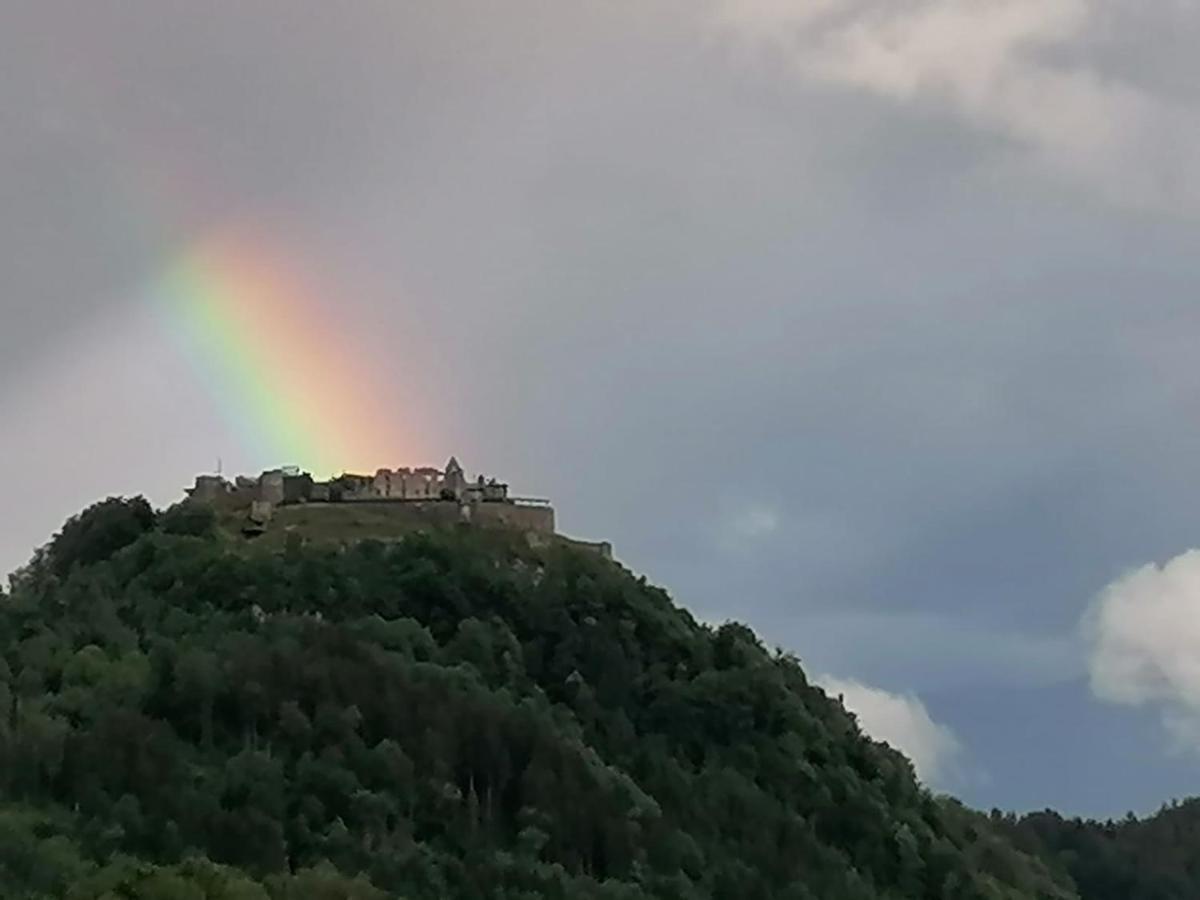 Ferienhaus Burgblick Treffen Esterno foto